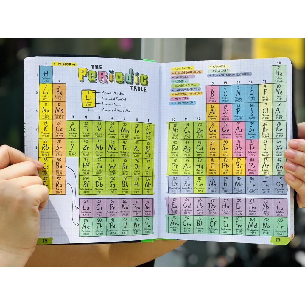 Sách Big Fat Notebooks, everything you need to ace , Sổ tay học tập