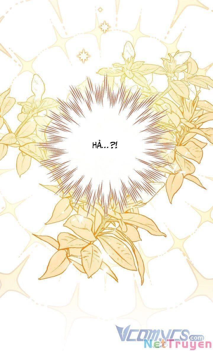 chúng ta có thể trở thành gia đình được không? chapter 71 52