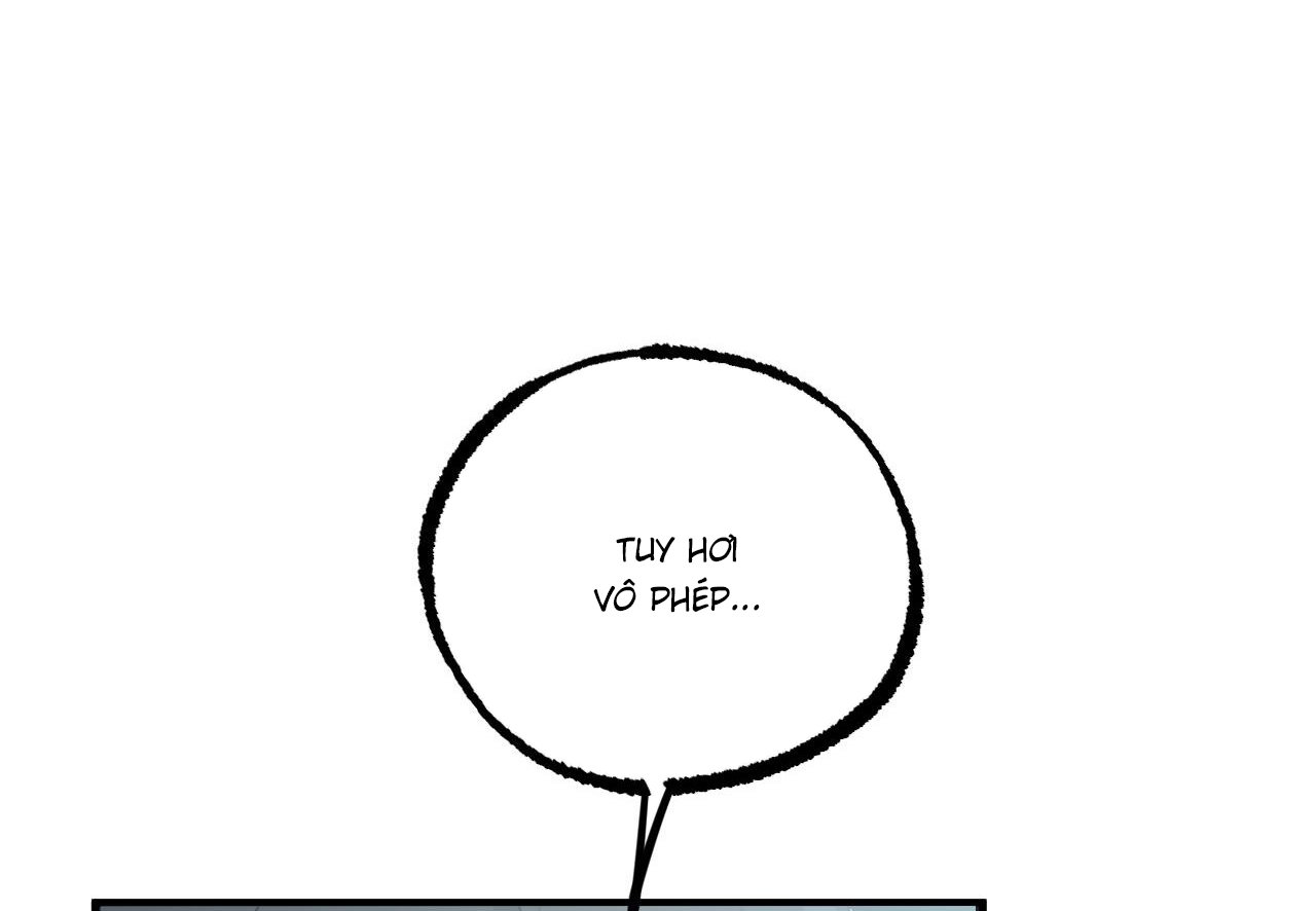 những chú thỏ của hapypy chapter 60 160