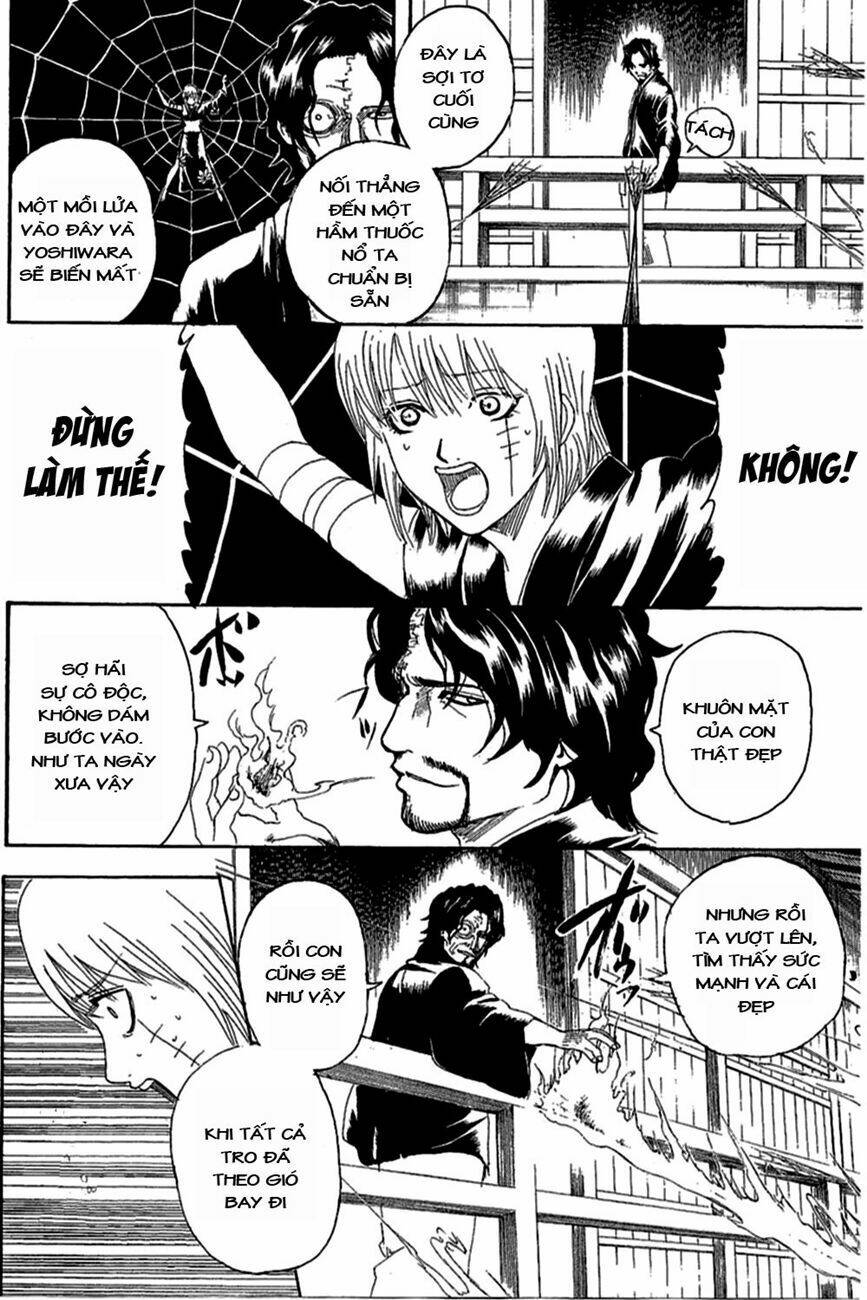 gintama - linh hồn bạc chapter 258 5