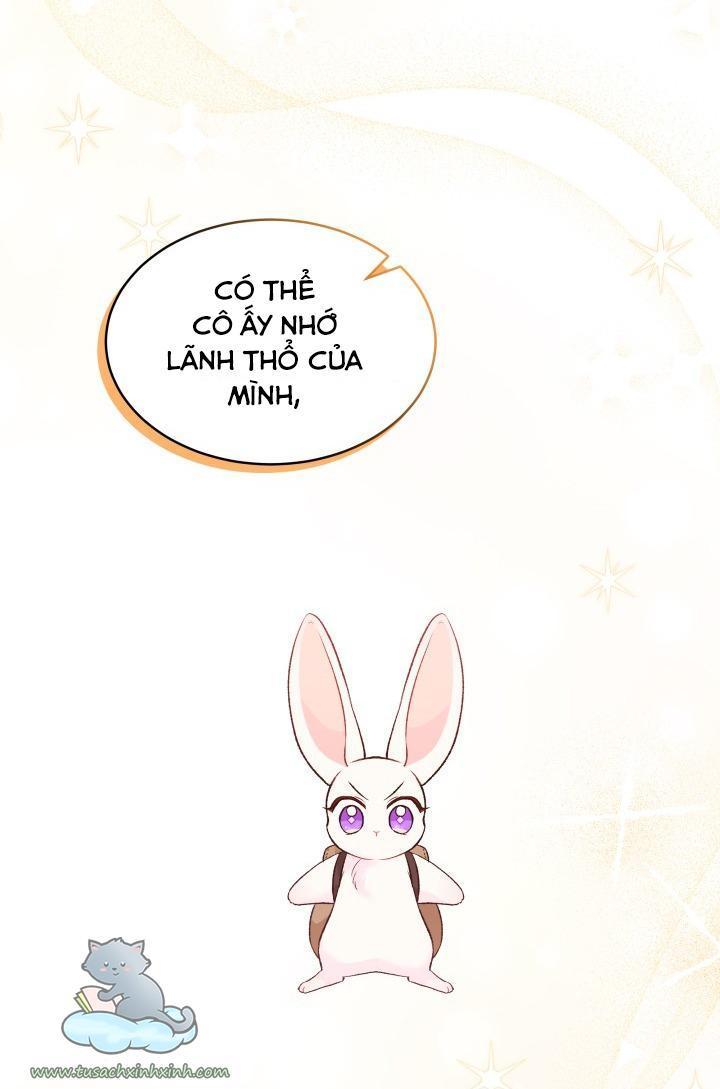 quan hệ cộng sinh giữa báo đen và thỏ trắng chapter 60 9