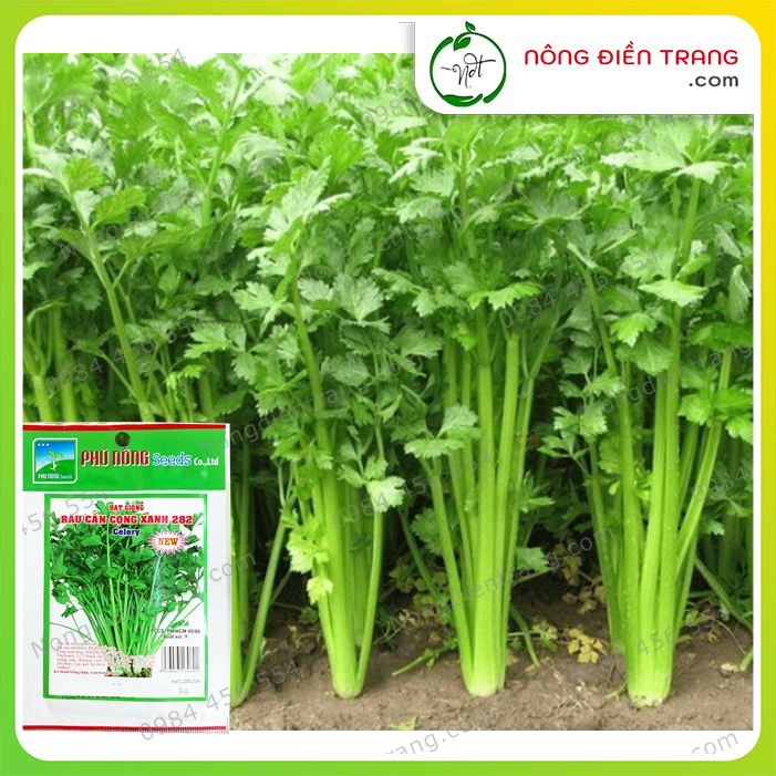 Hạt giống Rau Cần Tây Cọng Xanh Phú Nông - Gói 5g - Dễ Trồng Năng Suất Cao Kháng Bệnh Tốt VTNN Nông Điền Trang