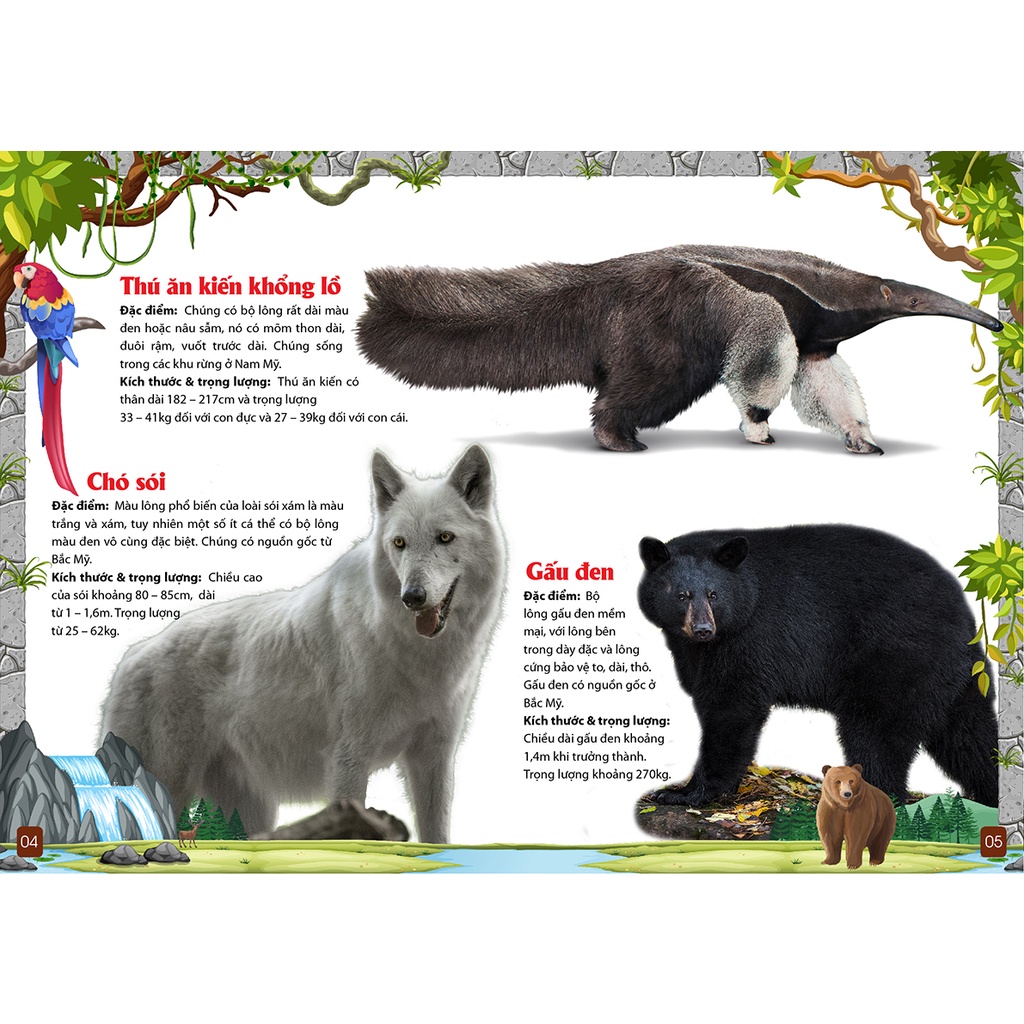 Khám Phá Động Vật 5 Châu Châu Mỹ -