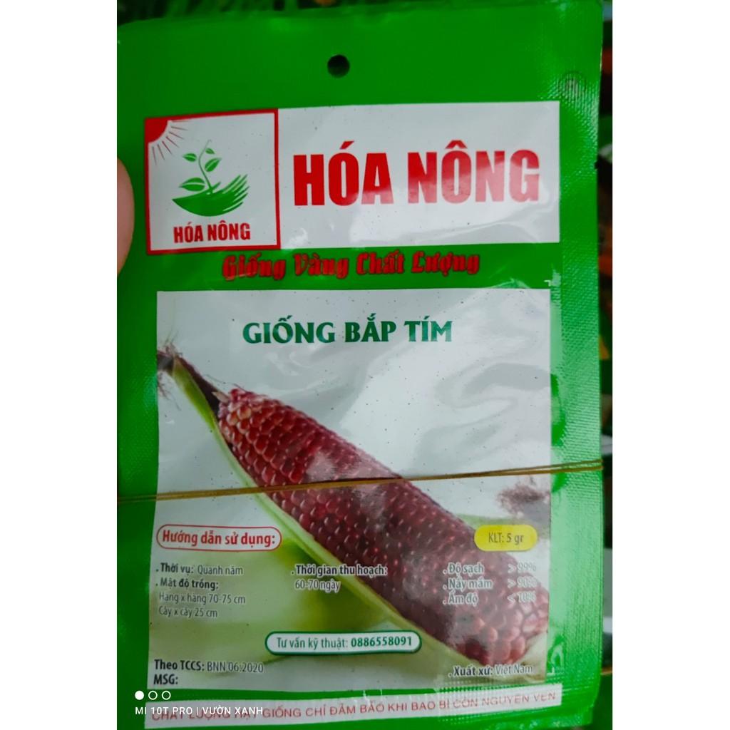Hạt giống ngô tím, bắp tím 5gr