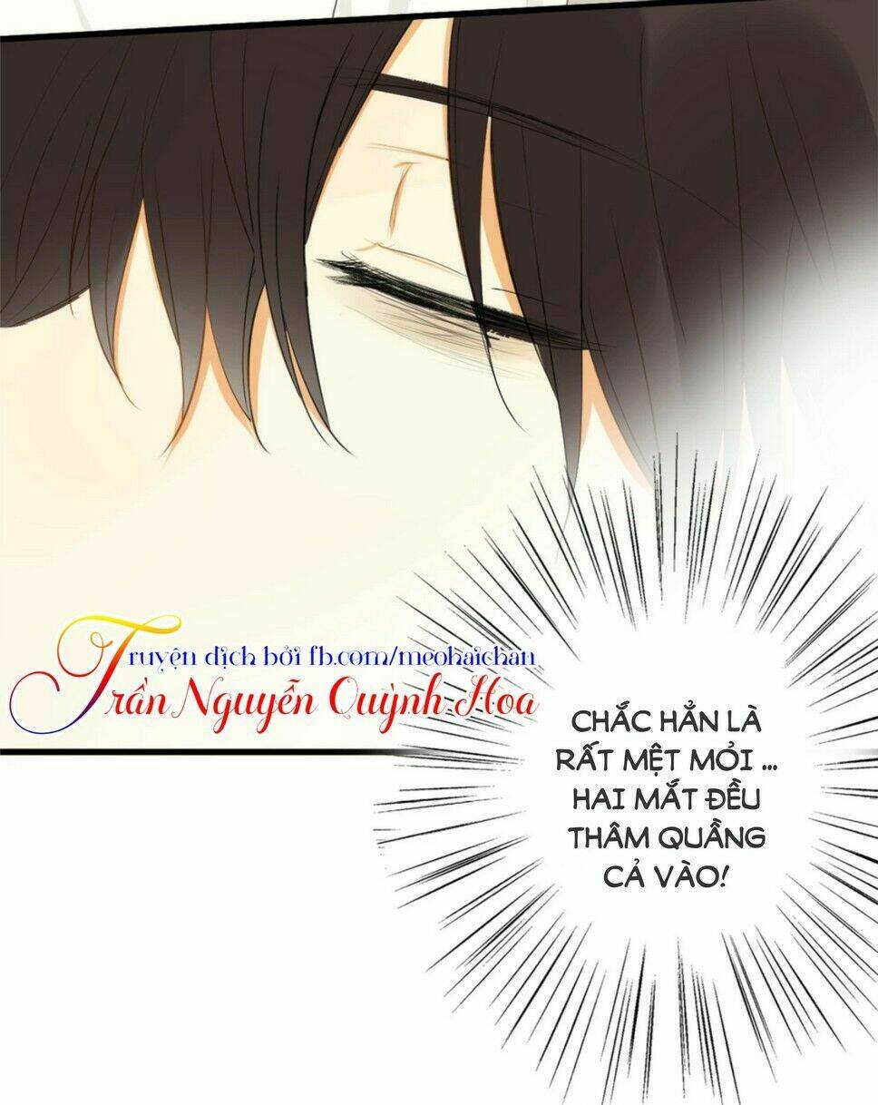 điều giáo quan hệ chapter 8 13