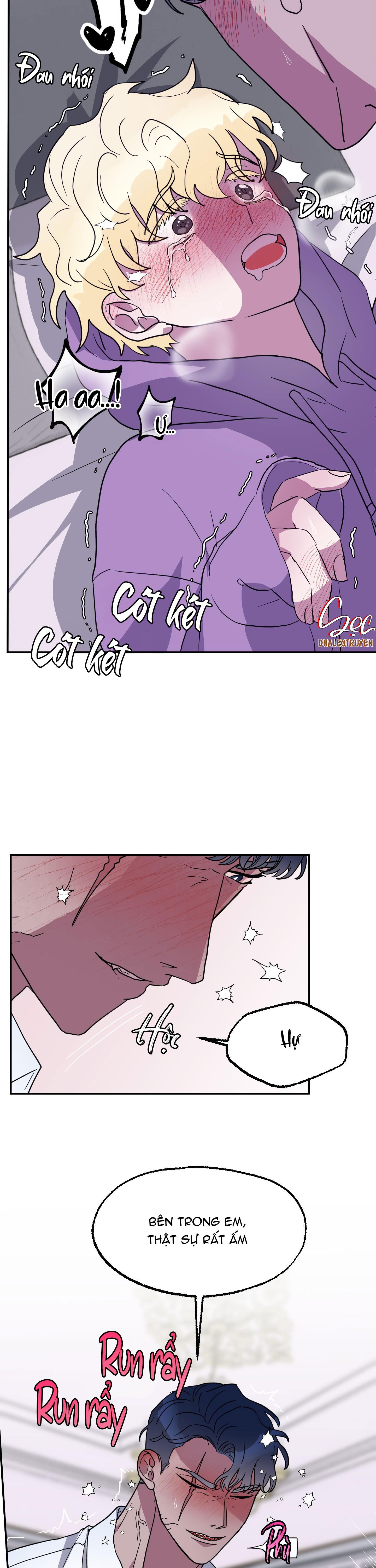 cá mập và cô dâu thỏ chapter 3 2