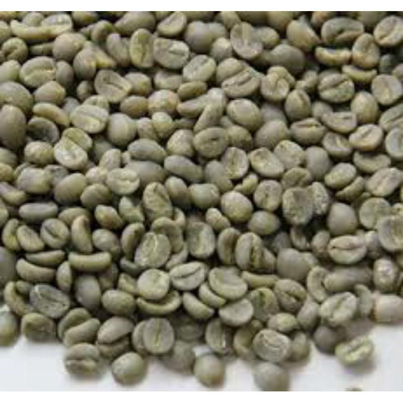 Nhân CAFE sống robusta