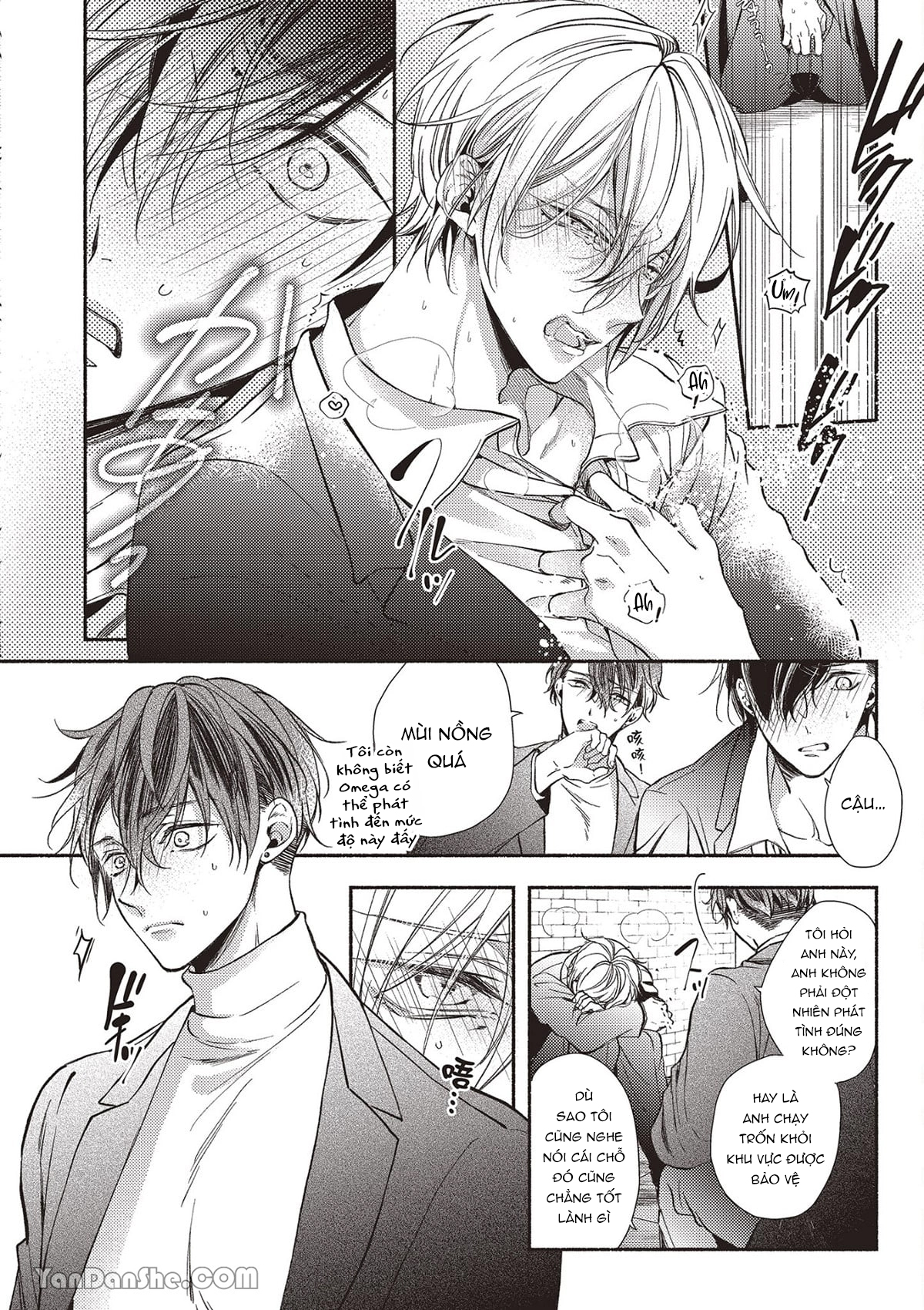 omega mạnh mẽ là bạn đời của chúng tôi chapter 1.1 10
