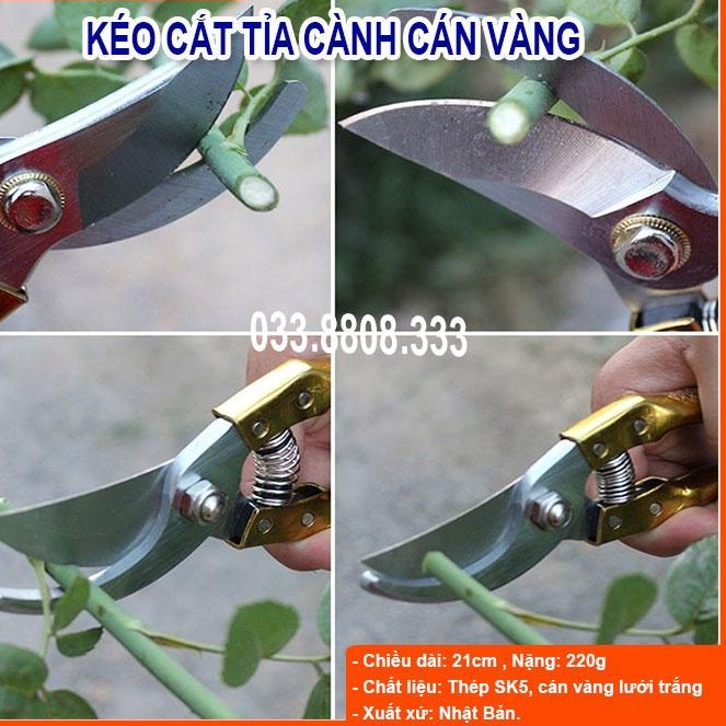 KÉO TỈA CÀNH NHẬT BẢN CÁN VÀNG SIÊU ĐẸP -TẶNG LÒ XO