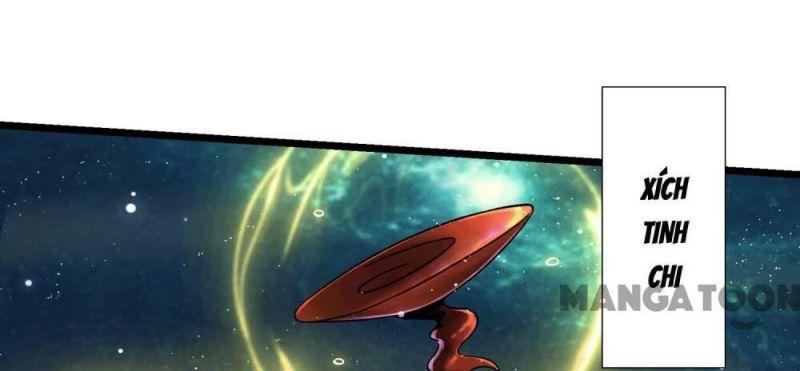 đồ đệ ta toàn là nữ ma đầu chapter 202 16