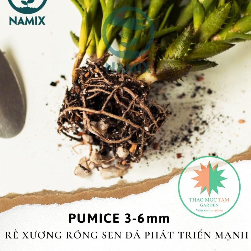 Bao 20Kg Đá Pumice 3-6mm trồng sen đá Namix – Đá bọt size nhỏ chuyên trồng sen đá, xương rồng và các loại cây mọng