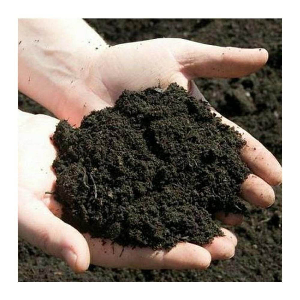 Bộ 1 Khay Trồng Rau Và 1 Túi Đất Hữu Cơ ORGANIC SOIL  Giúp Trồng Rau Sạch Và An Toàn