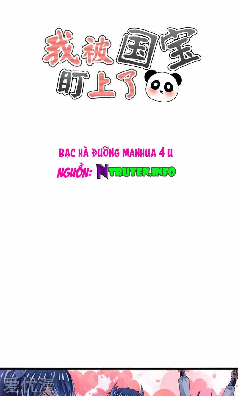 tôi bị gấu trúc nhìn trúng rồi chapter 26 1