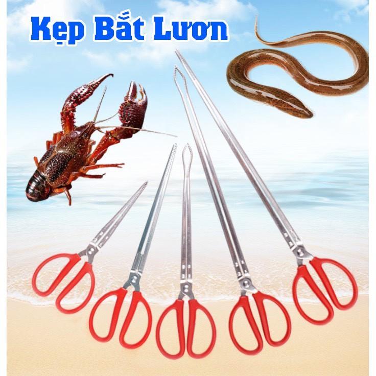 Kẹp Bắt Lươn Rắn, Hải Sản, Cua Ghẹ, Tôm Hùm