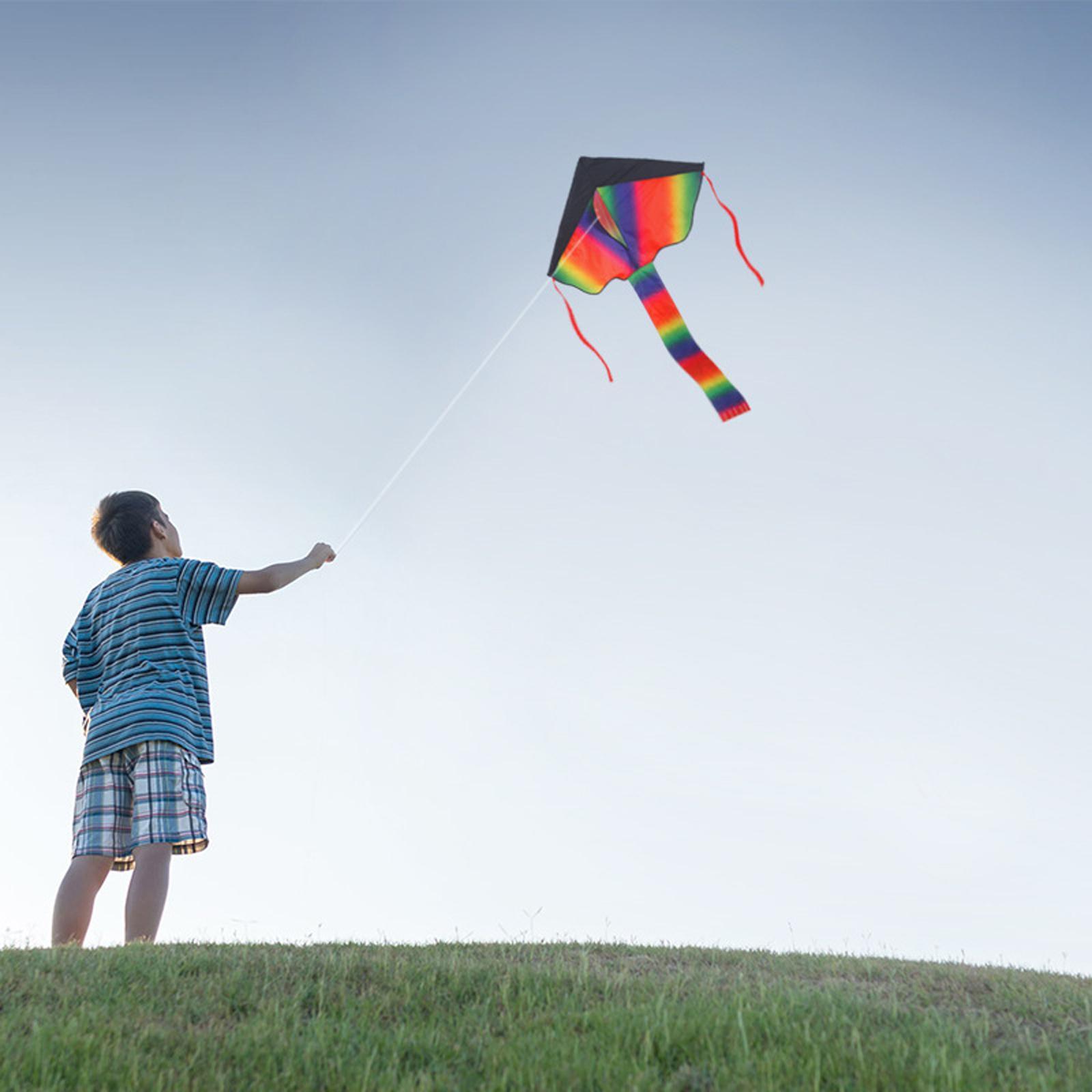 Giant Delta Kites Fly Kite Huge 1 Width Easy to Fly for Outdoor Toys Beach