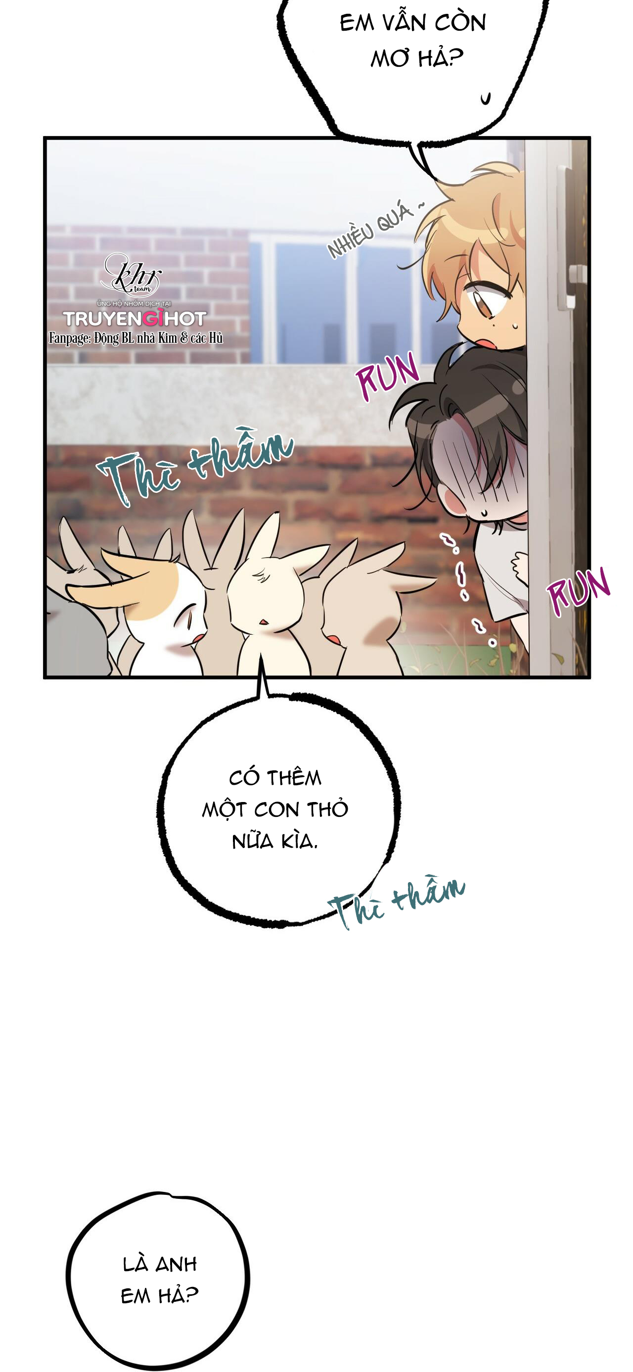 những chú thỏ của hapypy chapter 39 30