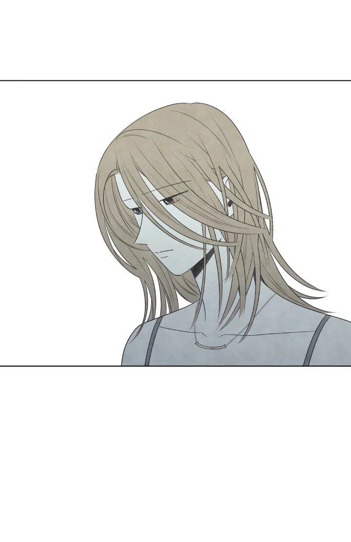 summer solstice point chapter 38 8