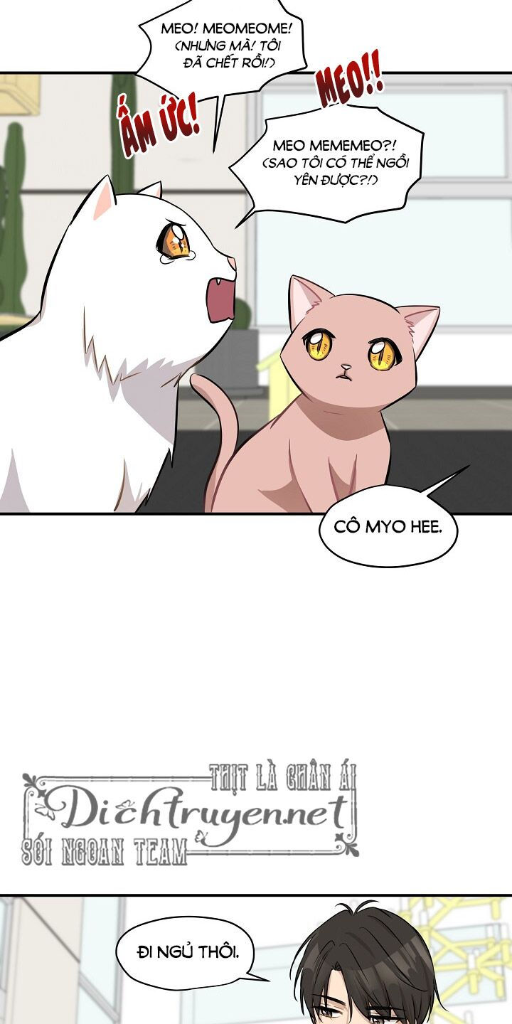 cuộc sống kỳ thú chapter 44 23