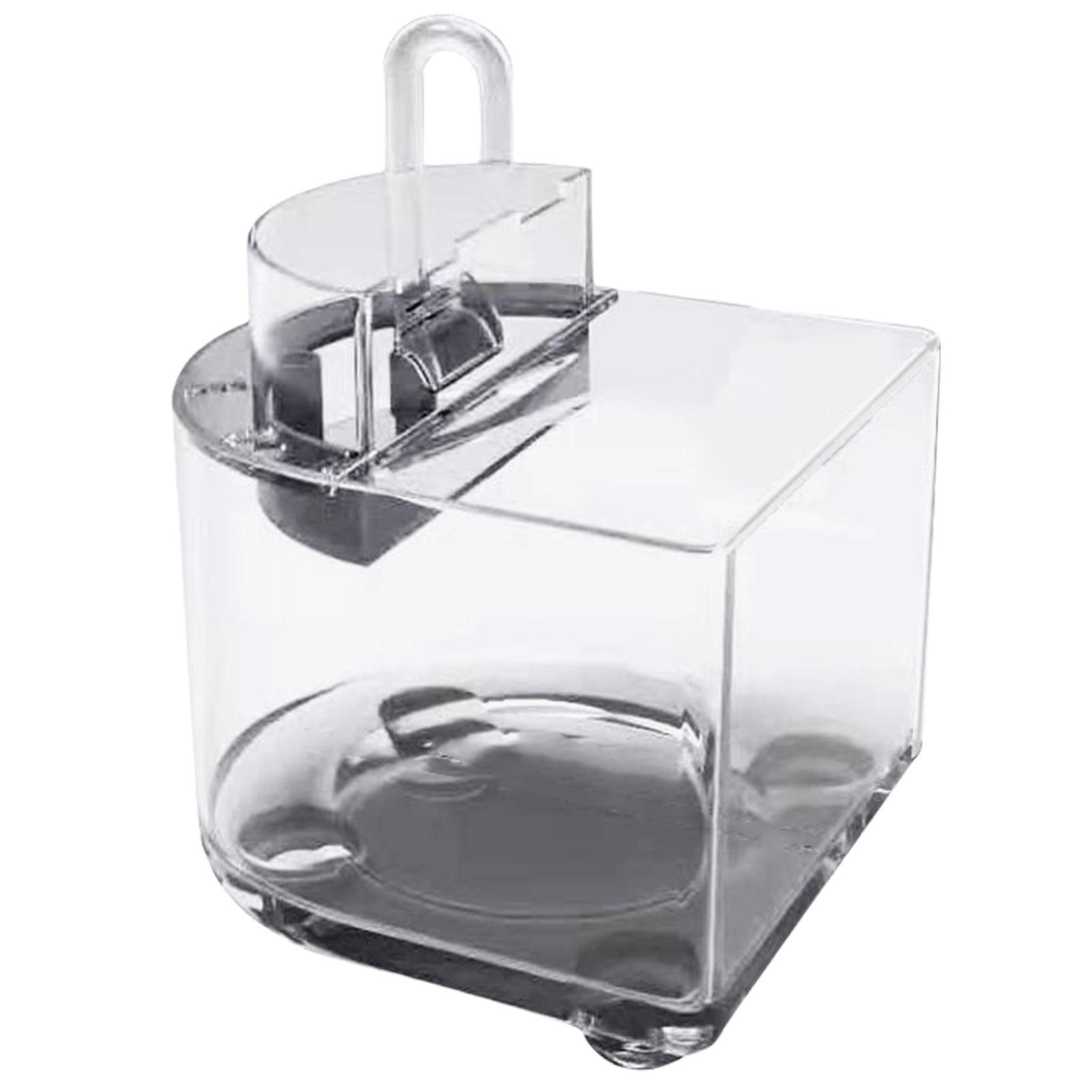 Desktop Aquarium with Water Filtration Quiet Air Pump