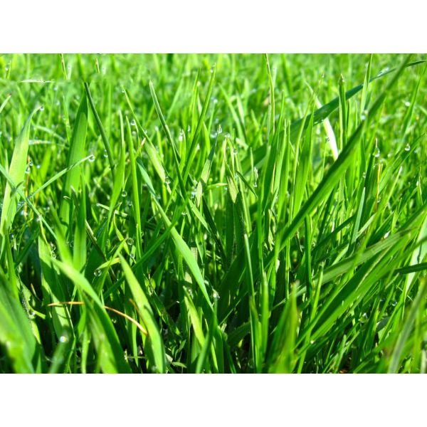 Tranh dán tường 3D | Tranh trang trí nhà cửa 3D | Tranh đẹp 3D | Tranh 3D đặc sắc | T3DMN T6 VAD_SSTH0955