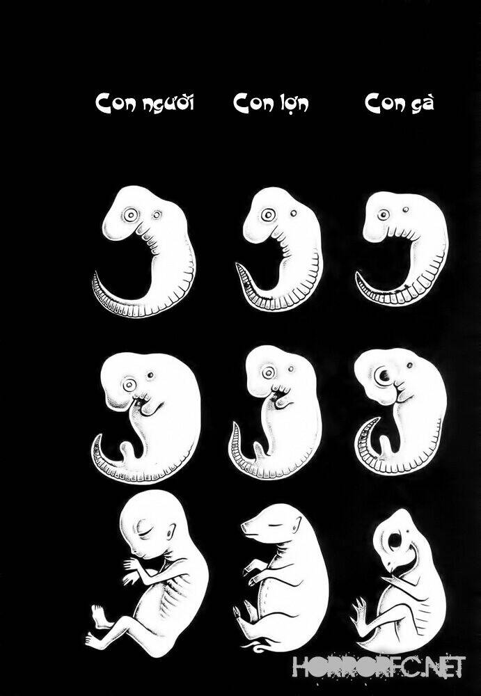 lullbabies from hell chapter 2 15