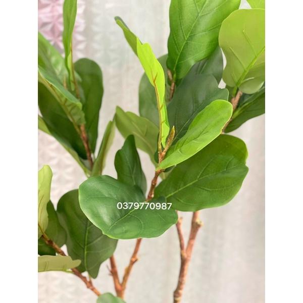 Cây bàng singapo giả cao 120cm