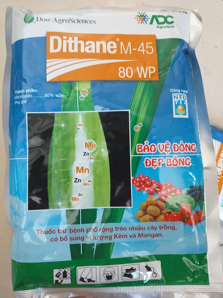 Dithane M-45 Bảo vệ Đòng và đẹp bông cho cây trồng-250g