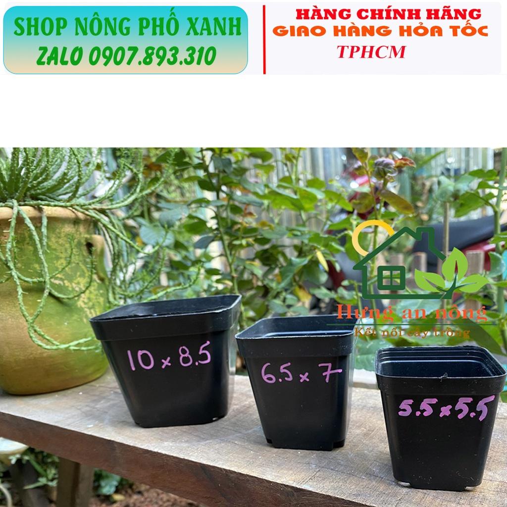 Chậu đen dẻo trồng sen đá bonsai xương rồng ươm cây con, trồng phôi bonsai mini