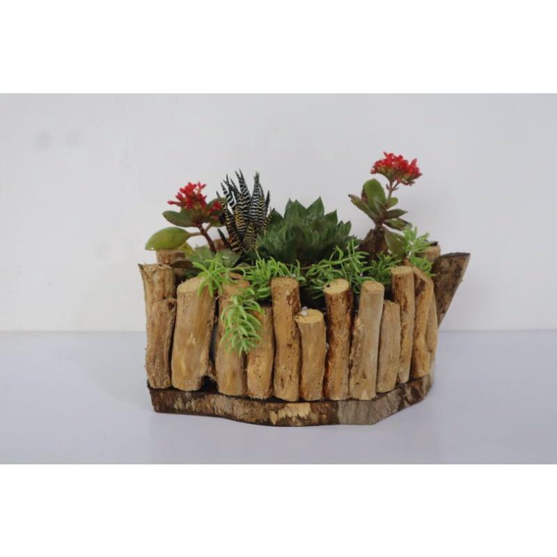 Chậu miệng bằng ghép rễ cây cắm hoa,trồng sen đá,hoa cảnh