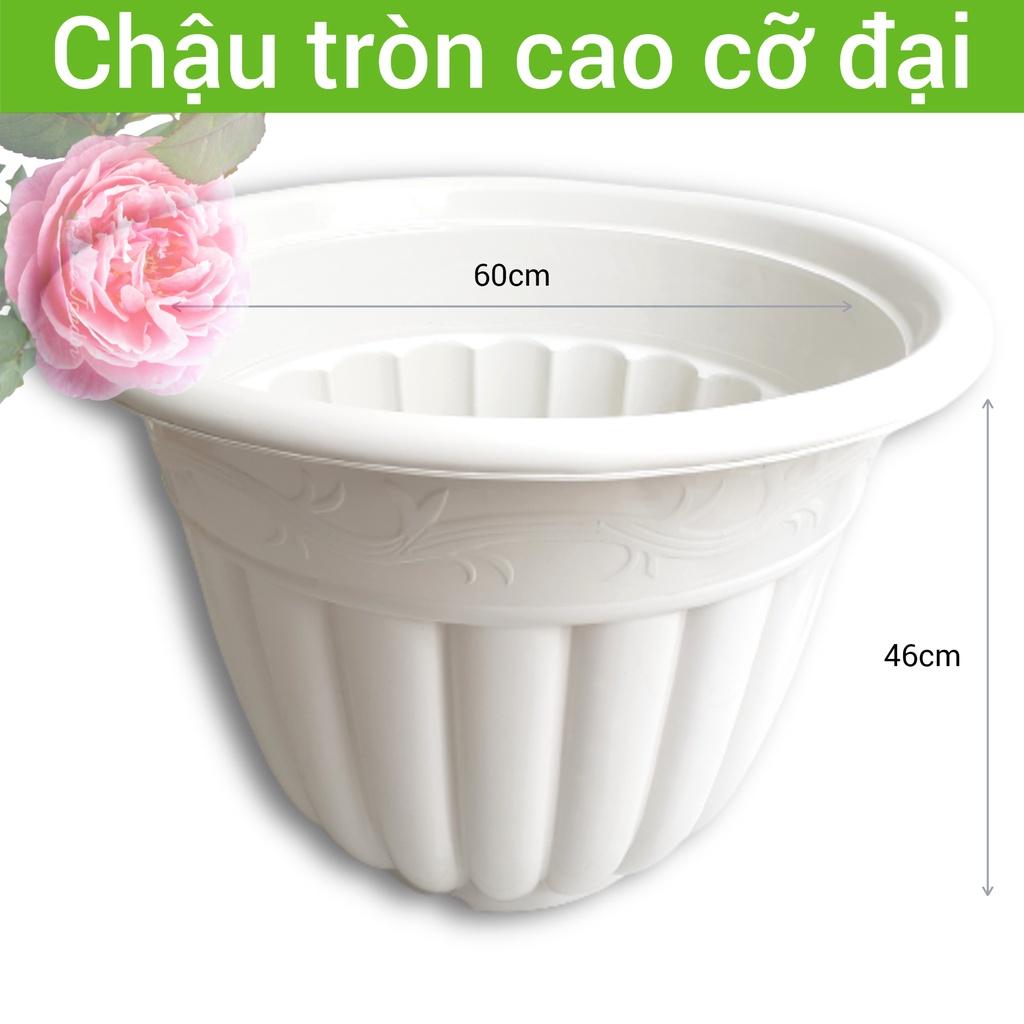 Chậu nhựa trồng cây lớn size đại đường kính 60cm cao 46cm