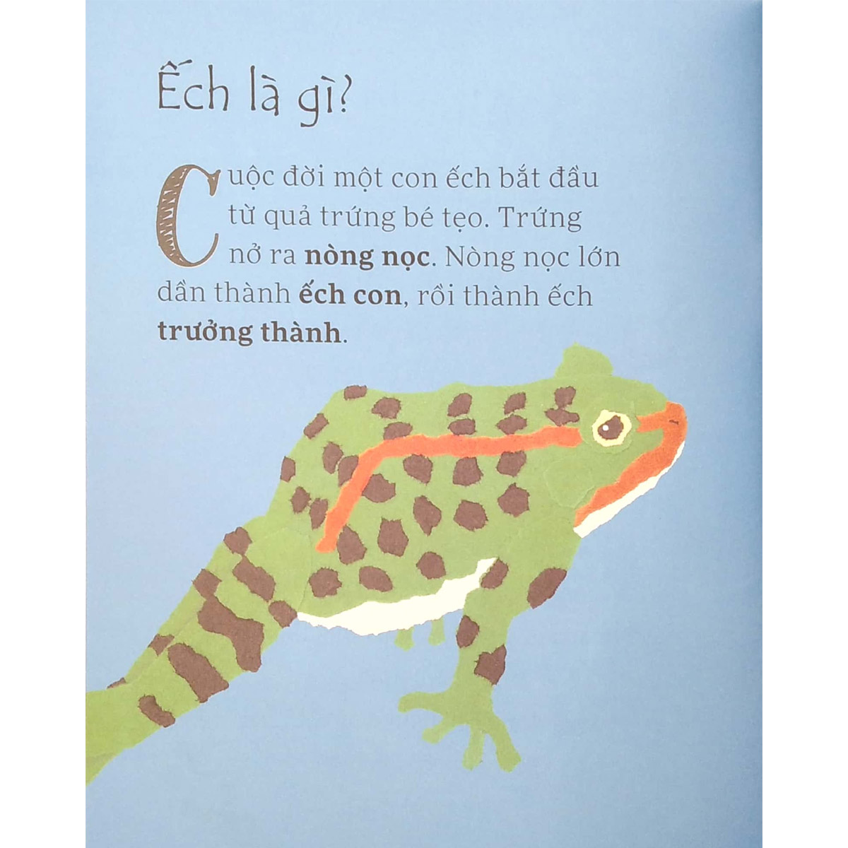 Sách Nòng Nọc Hóa Ếch Như Thế Nào?