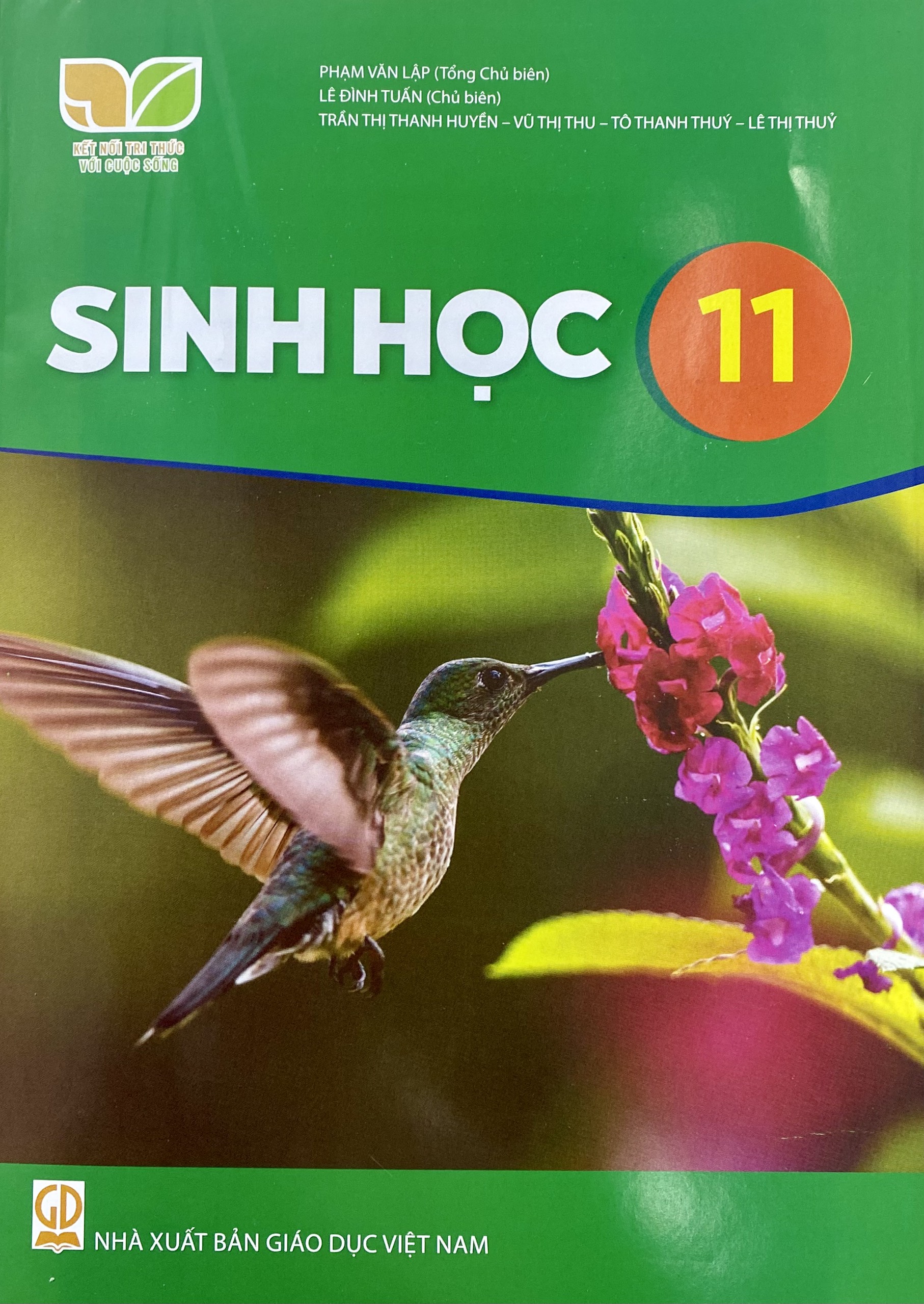 Combo 3 cuốn Sinh học lớp 11 (Kết nối tri thức với cuộc sống)