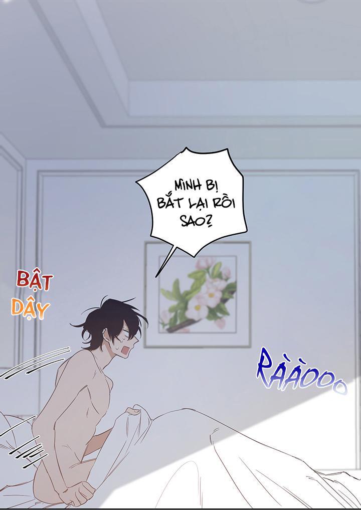 thành phố cạm bẫy chapter 1 28