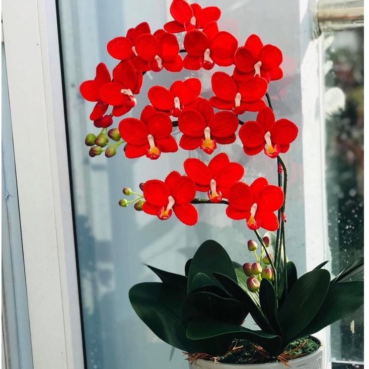 HOA TẾT 2023 HOA CHƯNG TẾT-HOA THỦ CÔNG ĐỘC ĐÁO TINH TẾ KHÔNG ĐỤNG HÀNG
