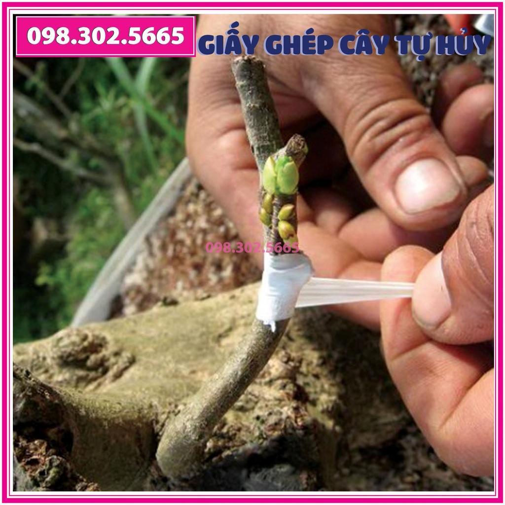 Giấy ghép cây tự hủy - khổ 8 cm - Dùng cho các loại cây to, cành lớn