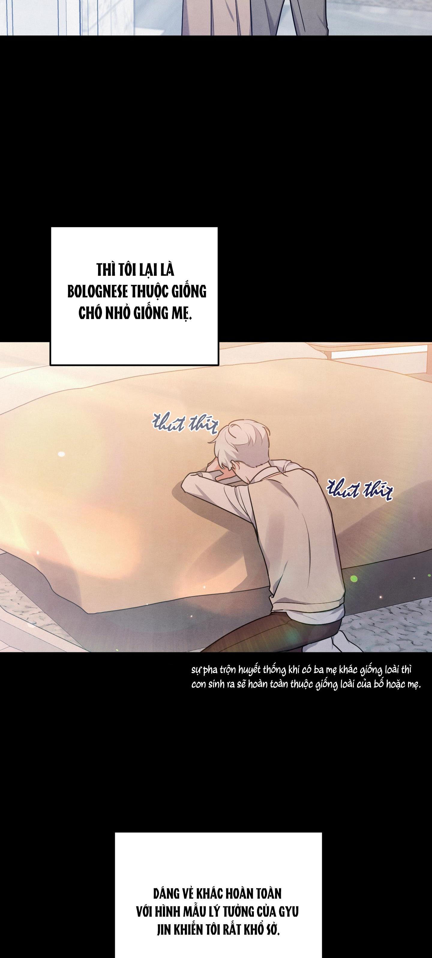 mối quan hệ ngu ngốc chapter 21 9