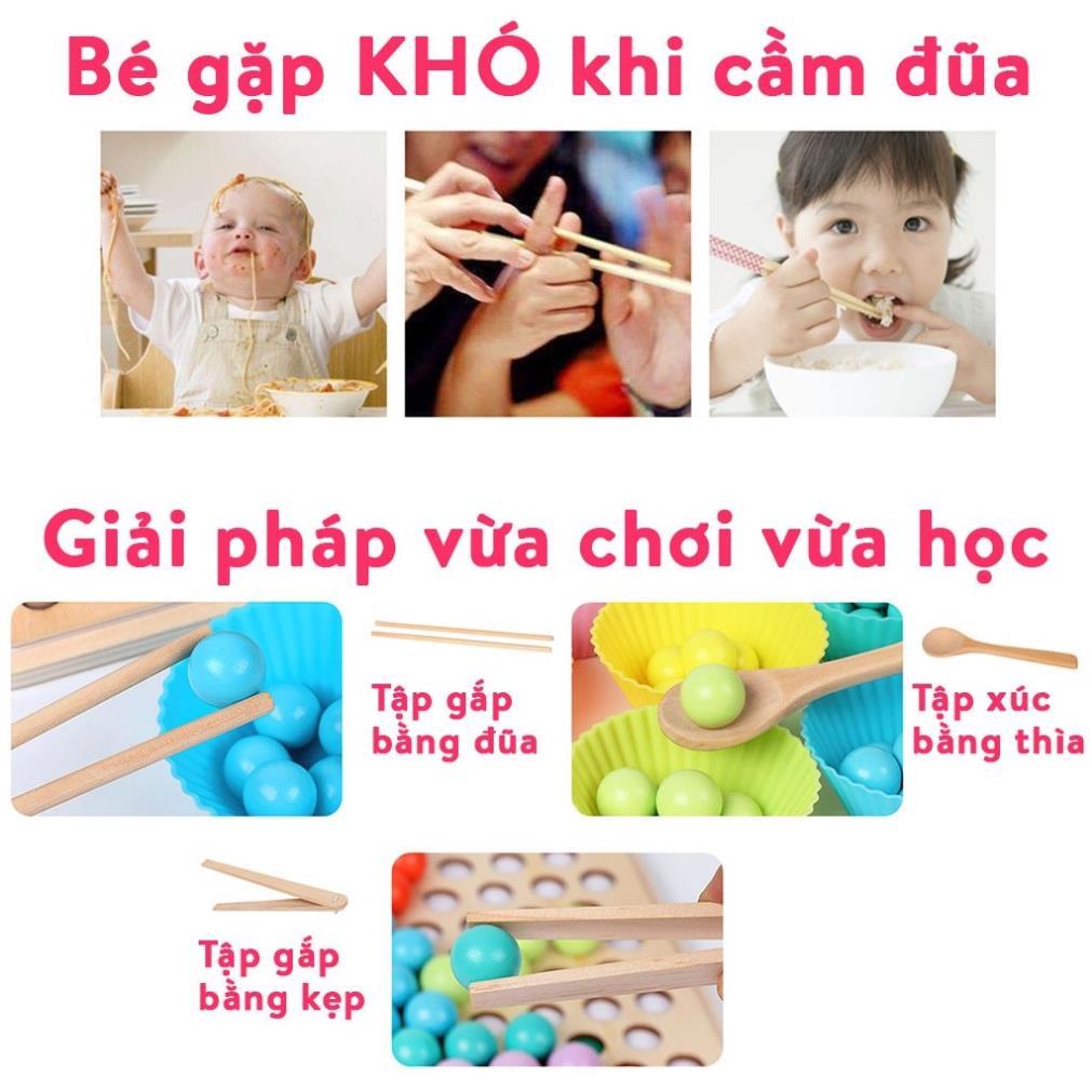 Bộ gắp hạt kèm bát rèn luyện vận động tinh