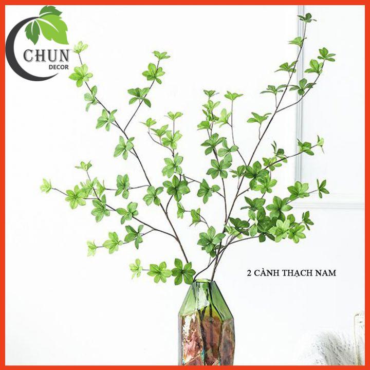 Cành thạch nam xanh mướt dài 110 trang trí nhà cửa, cửa hàng, văn phòng, làm đạo cụ chụp ảnh