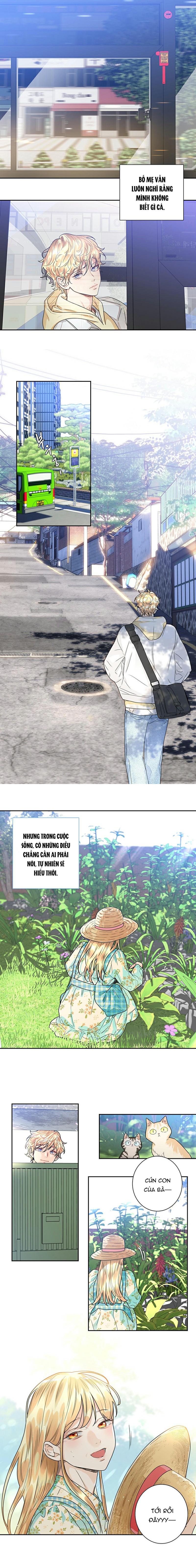 tình yêu là ảo ảnh chapter 4 7