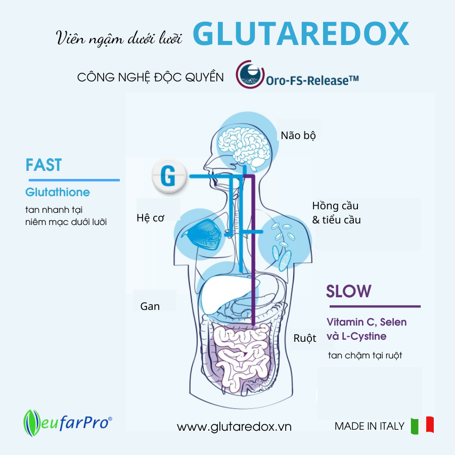 Glutaredox làm trắng sáng da, thải độc gan, chống lão hoá và tăng cường miễn dịch