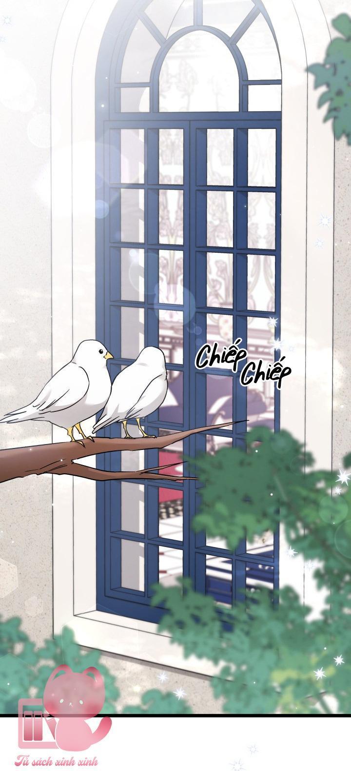 quan hệ cộng sinh giữa báo đen và thỏ trắng chapter 103 25