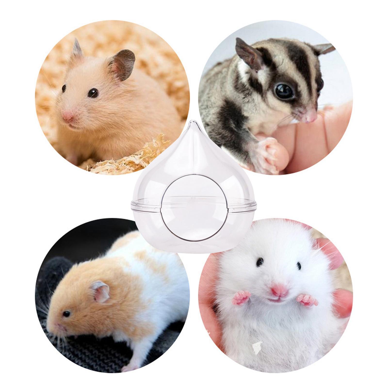 Hamster houses S