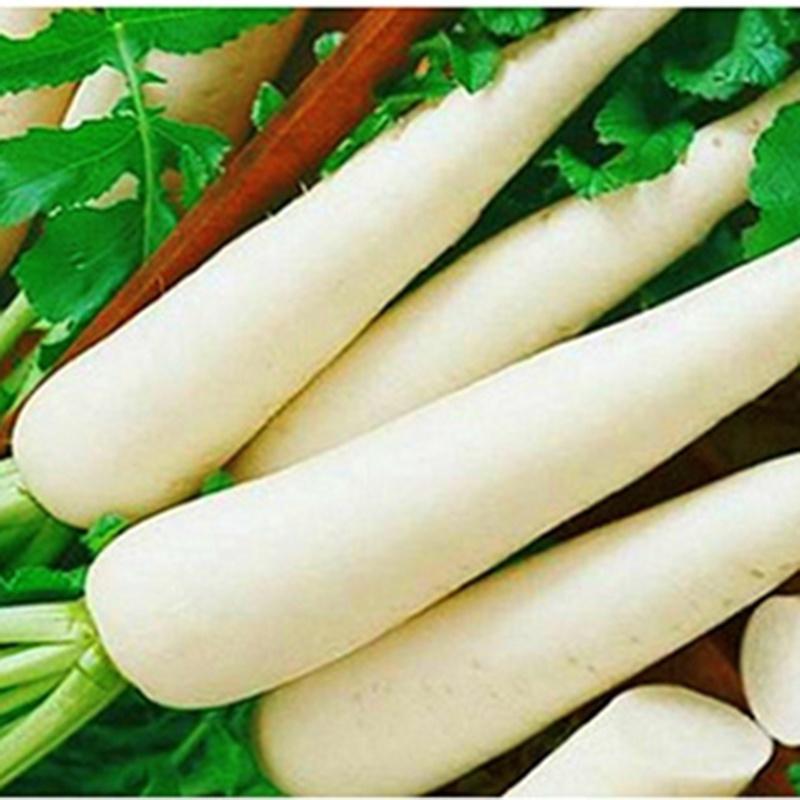 Hạt giống củ cải trắng- NGUYÊN GÓI hàng công ty tuyển chọn kháng bệnh sống khỏe