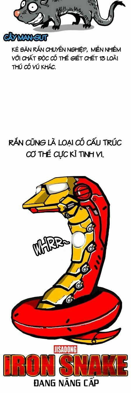 earth, human, and animal chapter 4 12