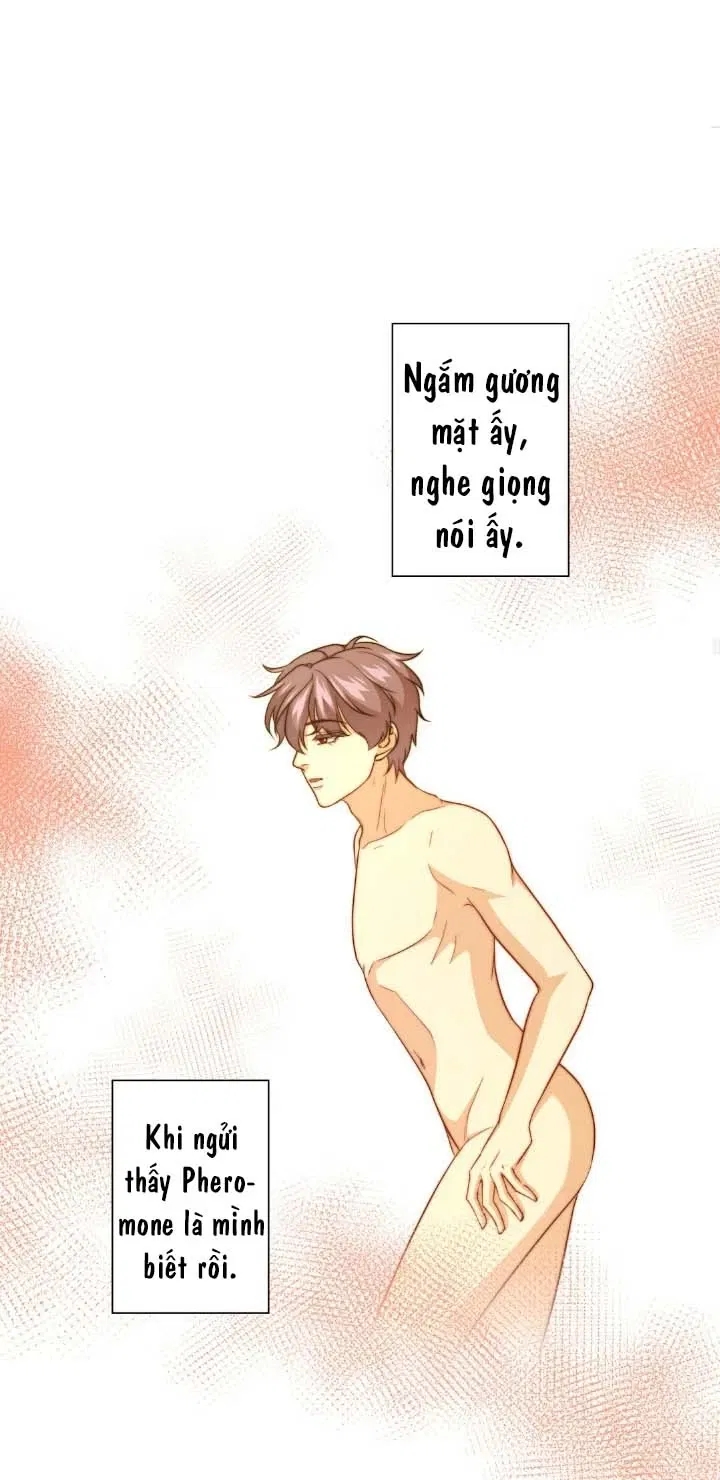 bí mật của omega k chapter 24 35