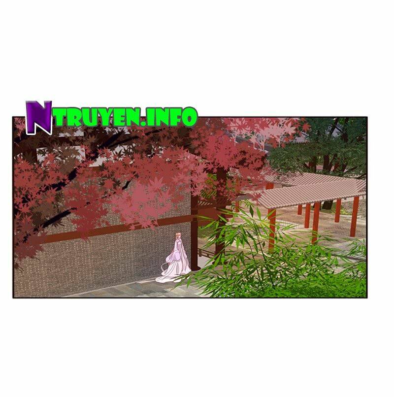 tướng quân mời ra trận chapter 127 12