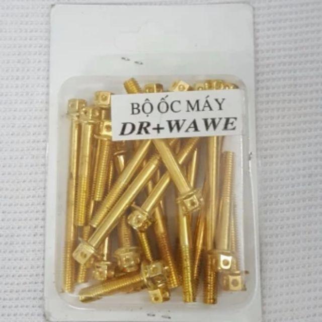 Bộ ốc kiểu Xi mạ Vàng dành cho lốc máy Dream và Wave