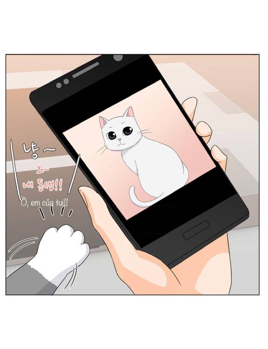 idol và sếp, em yêu ai? chapter 32 6