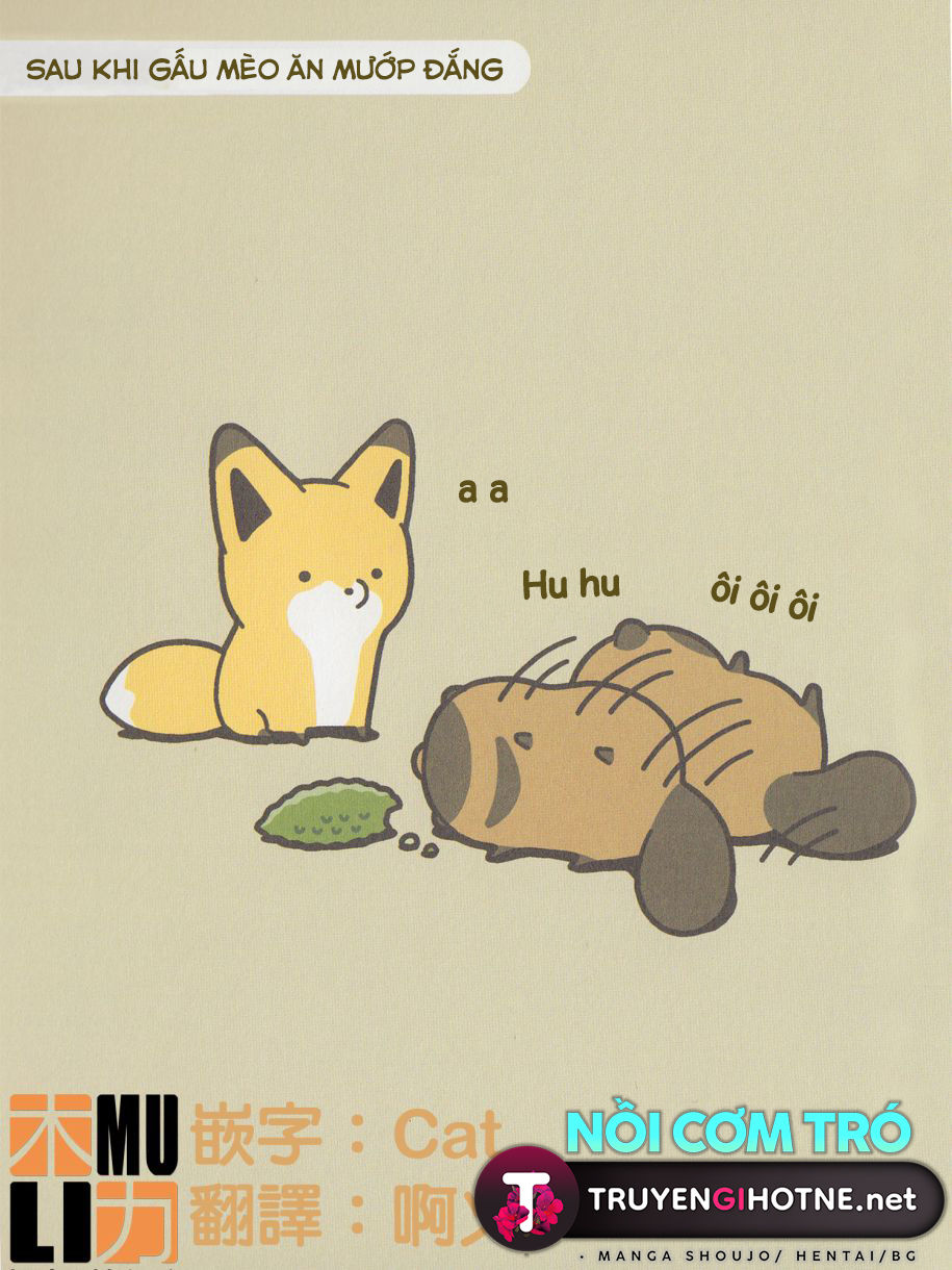 cáo và gấu mèo chapter 8 7