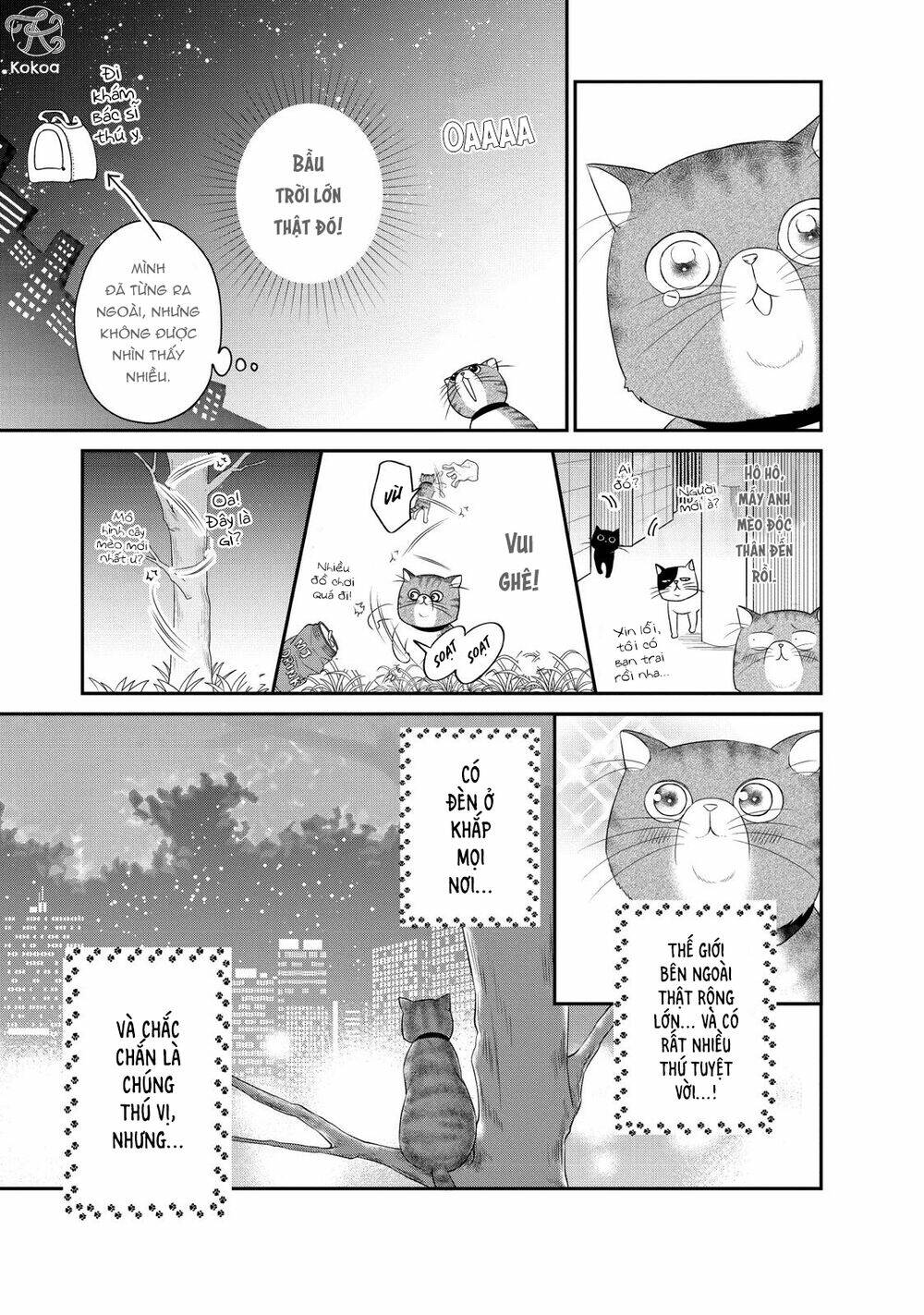 living no matsunaga-san chapter 24.5 4